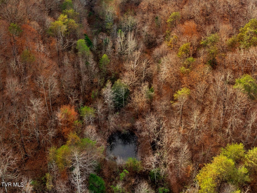 Photo #26: Tbd Panther Creek Road