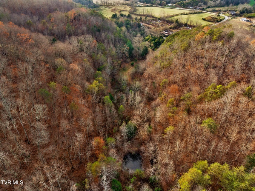 Photo #27: Tbd Panther Creek Road