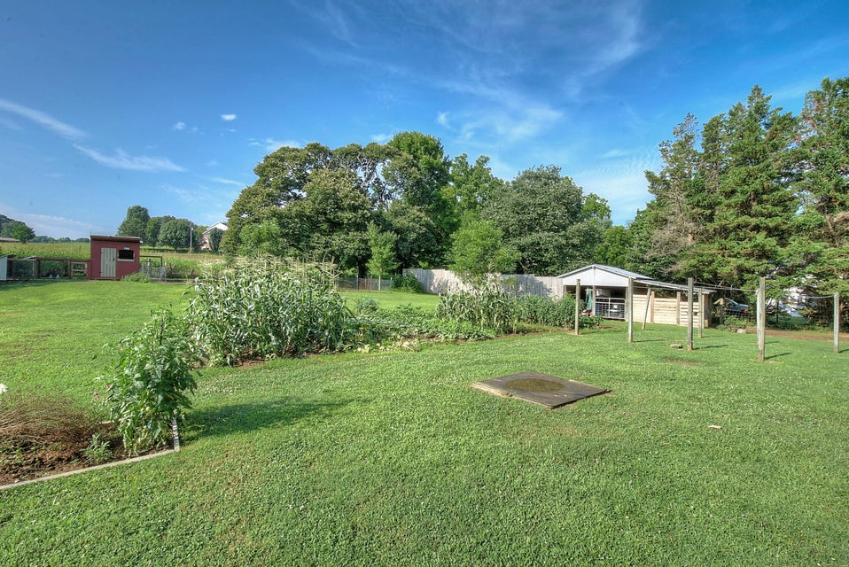 Photo #34: 367 Toll Branch Road