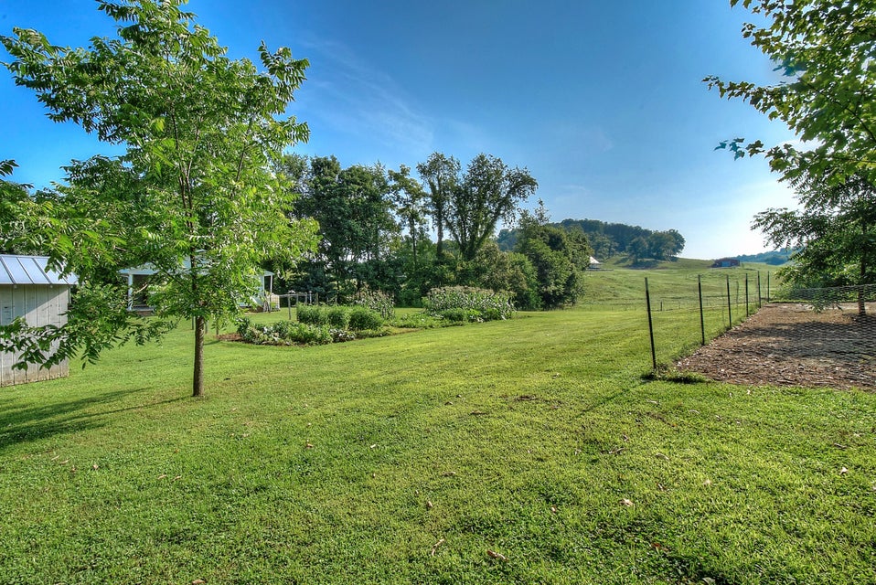 Photo #38: 367 Toll Branch Road