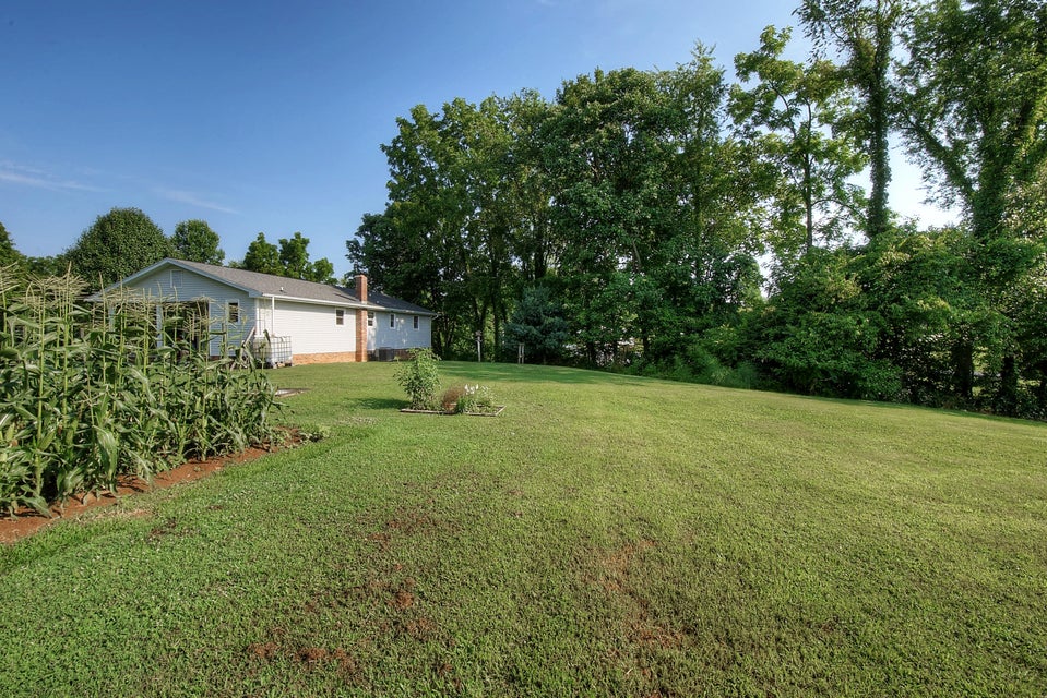 Photo #40: 367 Toll Branch Road