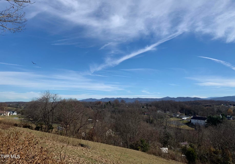 Photo #14: 188 Methodist Ridge Road Road