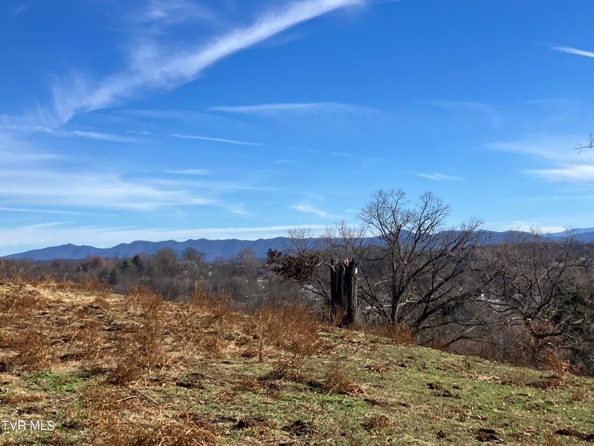 Photo #24: 188 Methodist Ridge Road Road