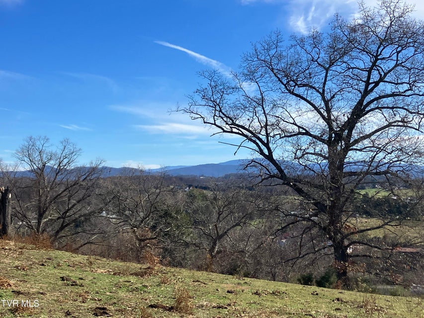 Photo #25: 188 Methodist Ridge Road Road