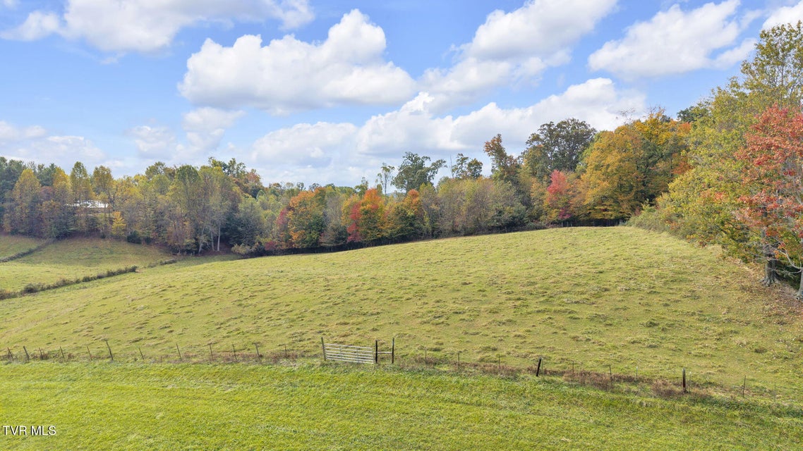 Photo #7: 000 Matson Road