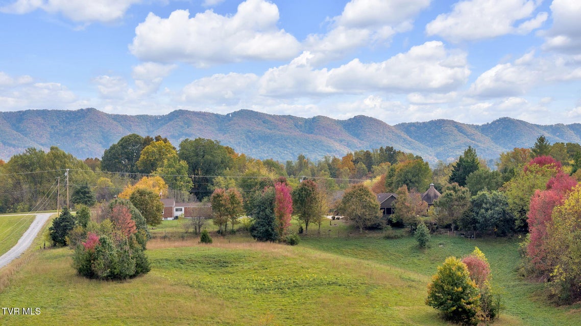 Photo #9: 000 Matson Road