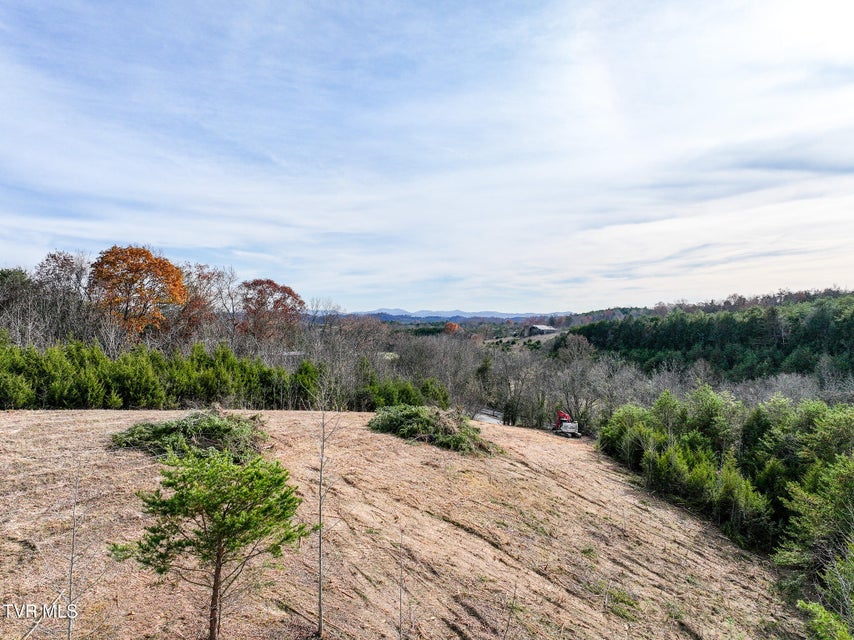 Photo #2: Lot 12 Dulaney Road