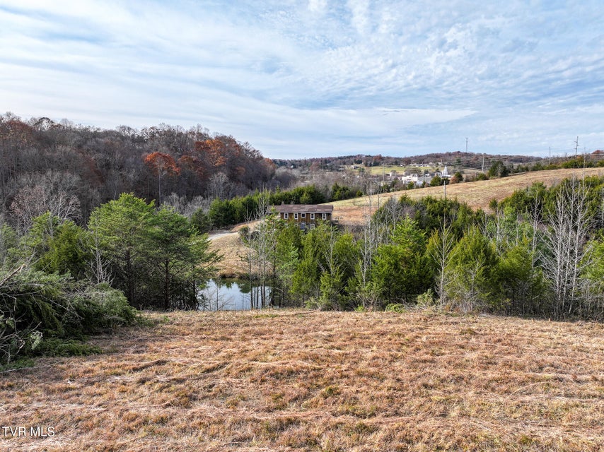 Photo #9: Lot 12 Dulaney Road