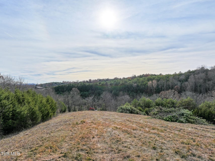 Photo #10: Lot 12 Dulaney Road