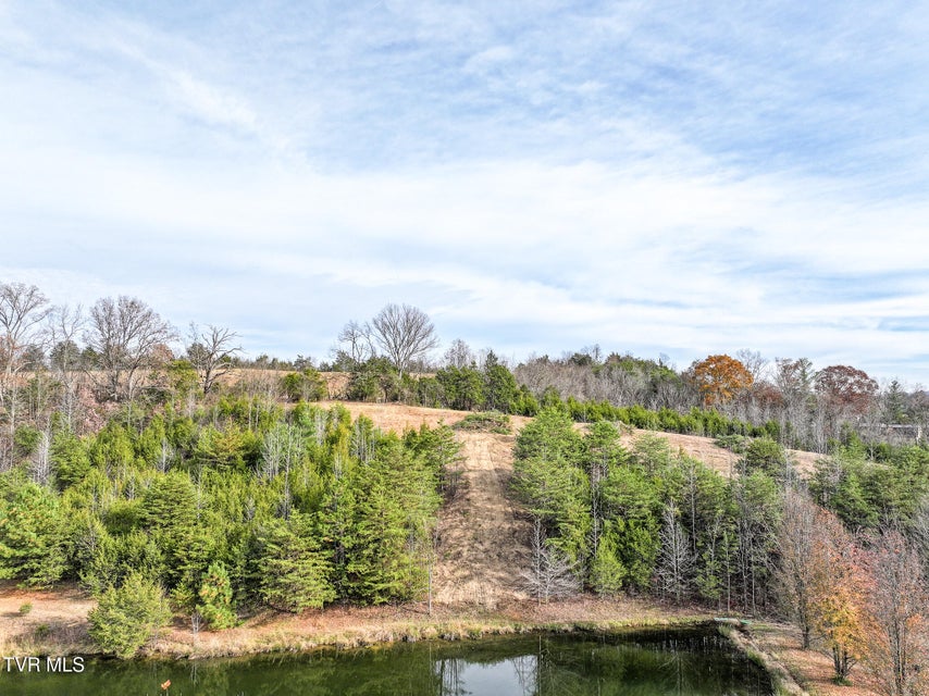 Photo #13: Lot 12 Dulaney Road