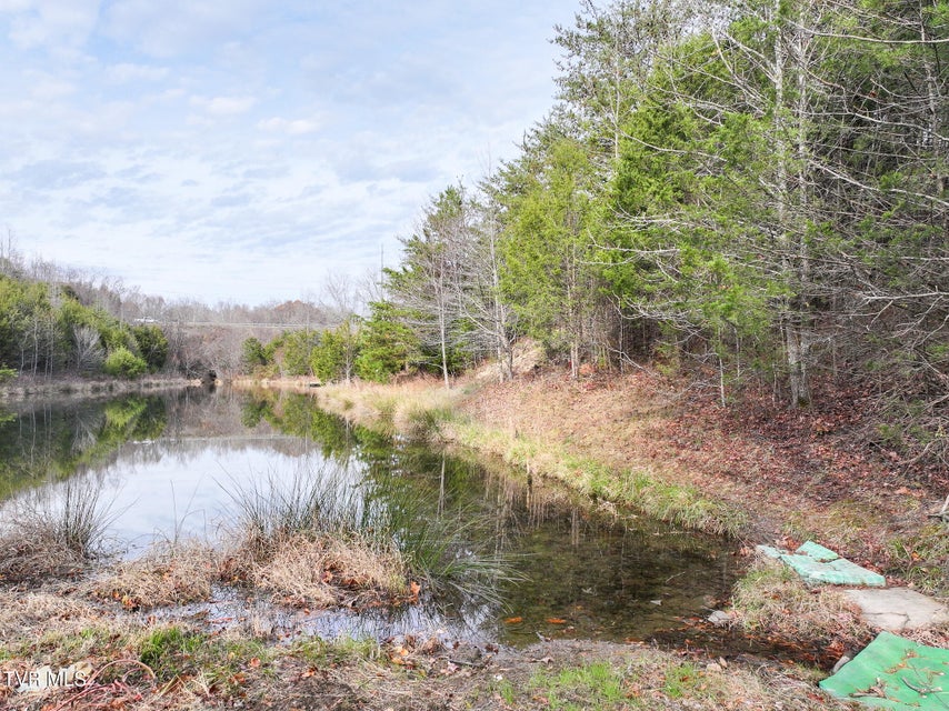 Photo #19: Lot 12 Dulaney Road