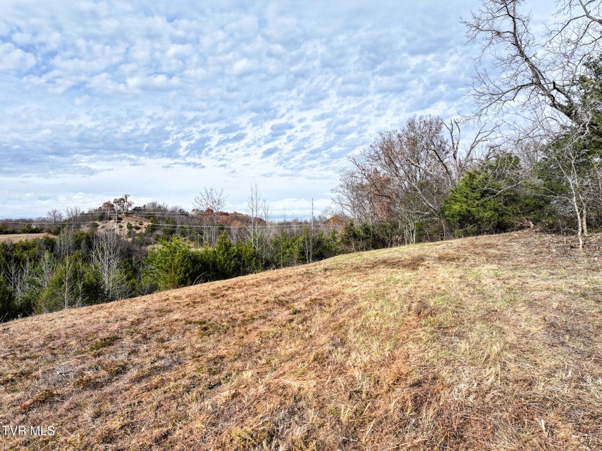 Photo #20: Lot 12 Dulaney Road