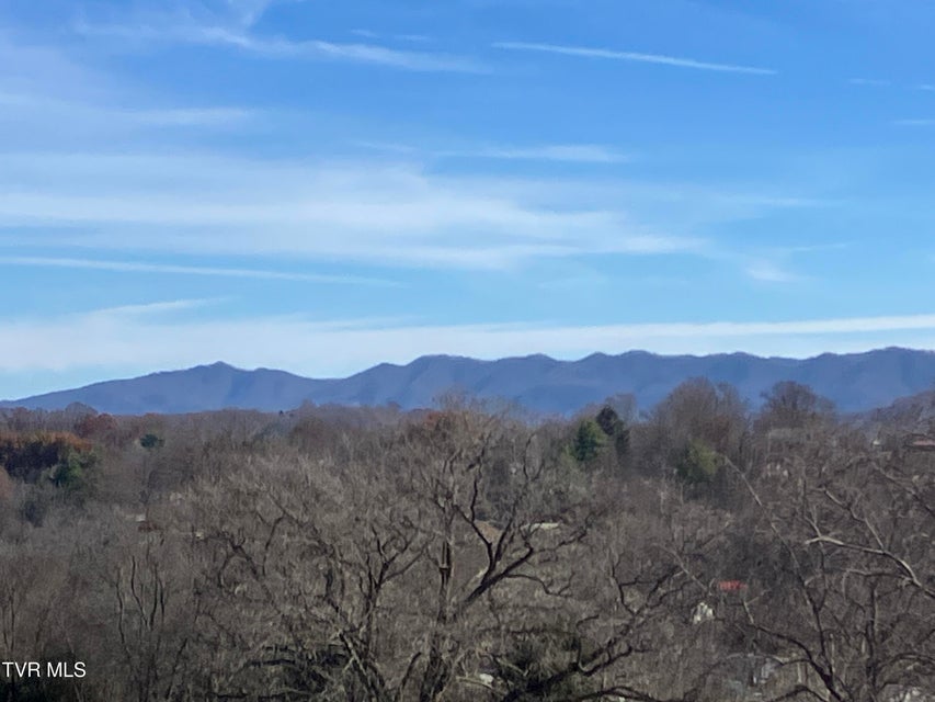 Photo #7: Tbd Methodist Ridge Road Road