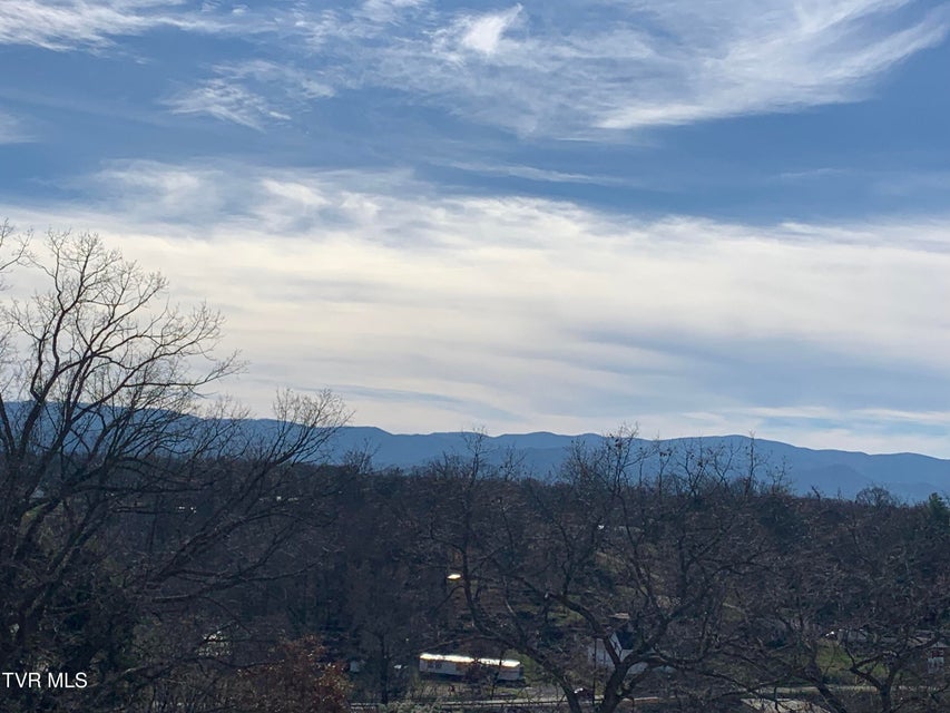 Photo #8: Tbd Methodist Ridge Road Road