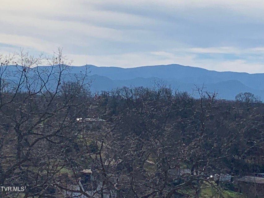 Photo #10: Tbd Methodist Ridge Road Road