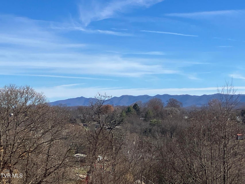 Photo #11: Tbd Methodist Ridge Road Road