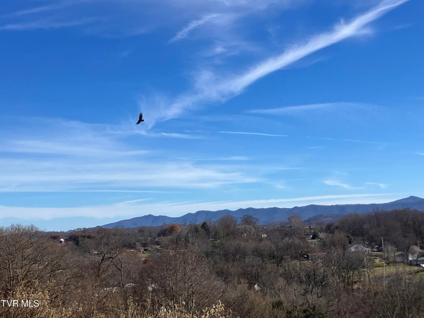 Photo #14: Tbd Methodist Ridge Road Road