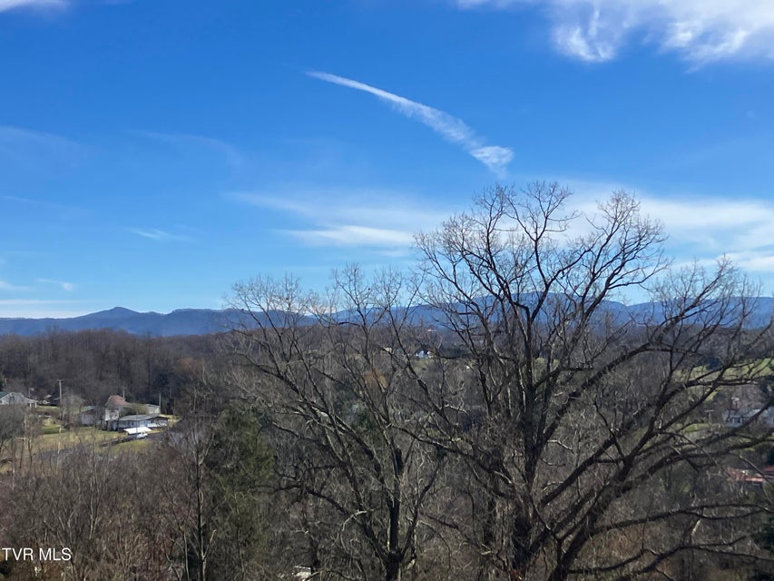 Photo #15: Tbd Methodist Ridge Road Road