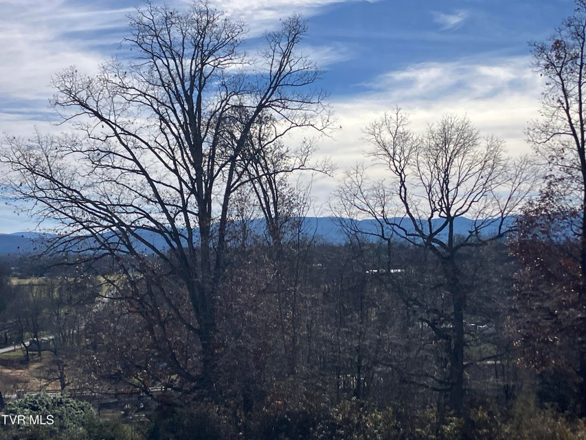 Photo #20: Tbd Methodist Ridge Road Road