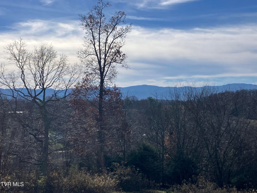 Photo #21: Tbd Methodist Ridge Road Road