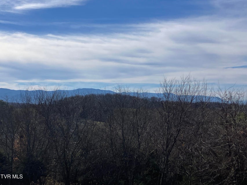 Photo #22: Tbd Methodist Ridge Road Road