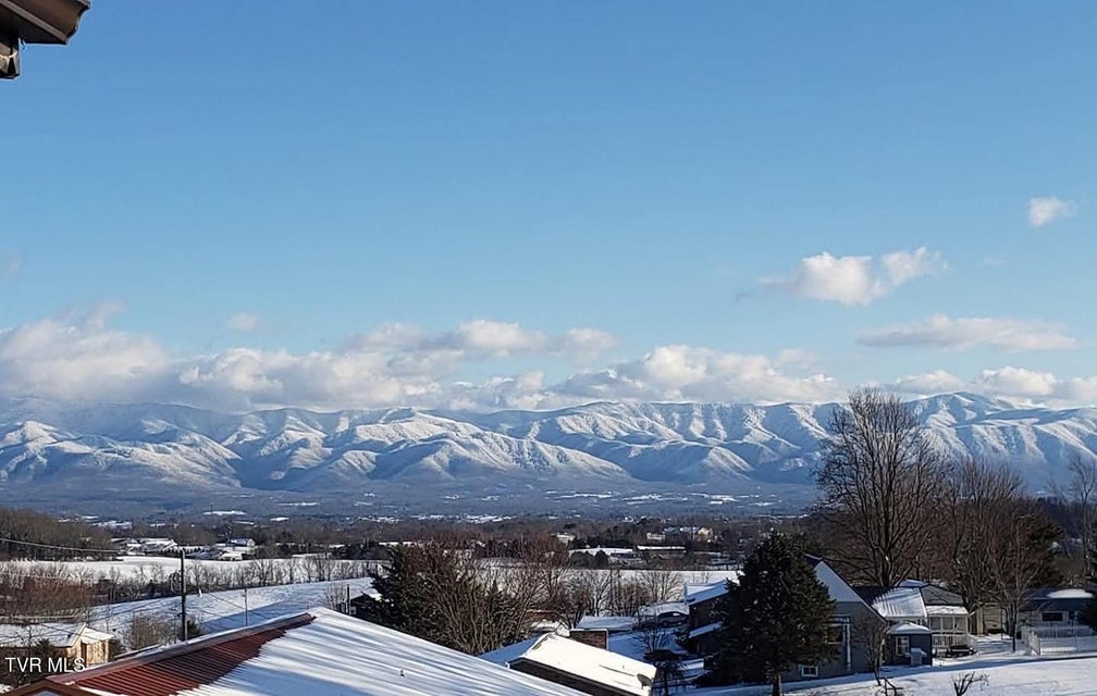 Photo #54: 225 Plainview Heights Circle