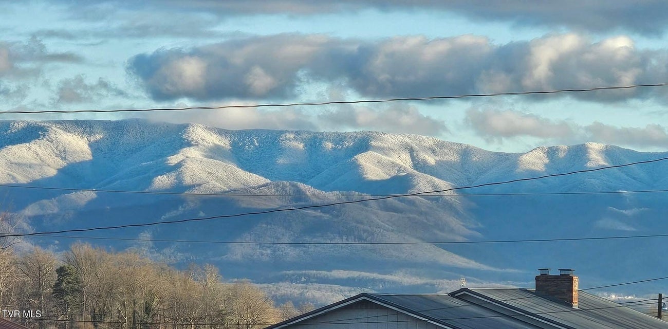 Photo #53: 225 Plainview Heights Circle