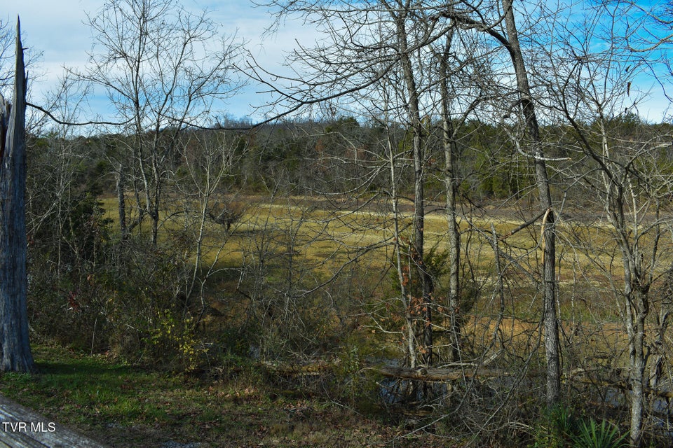 Photo #35: 132 Bellamy Lane