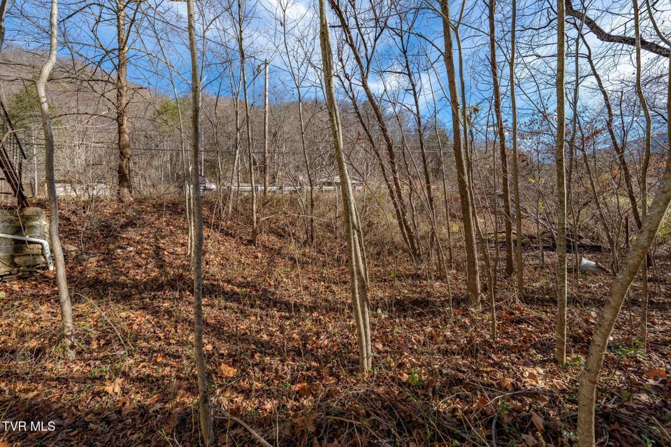 Photo #9: 6194 Highway 19-E 