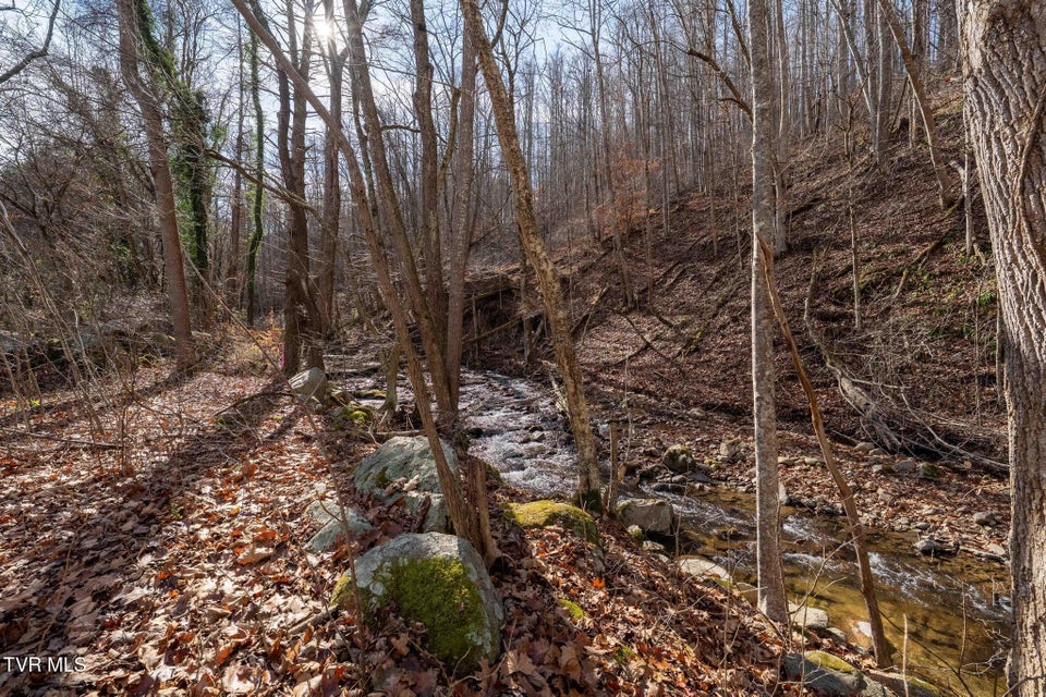 Photo #14: 6194 Highway 19-E 