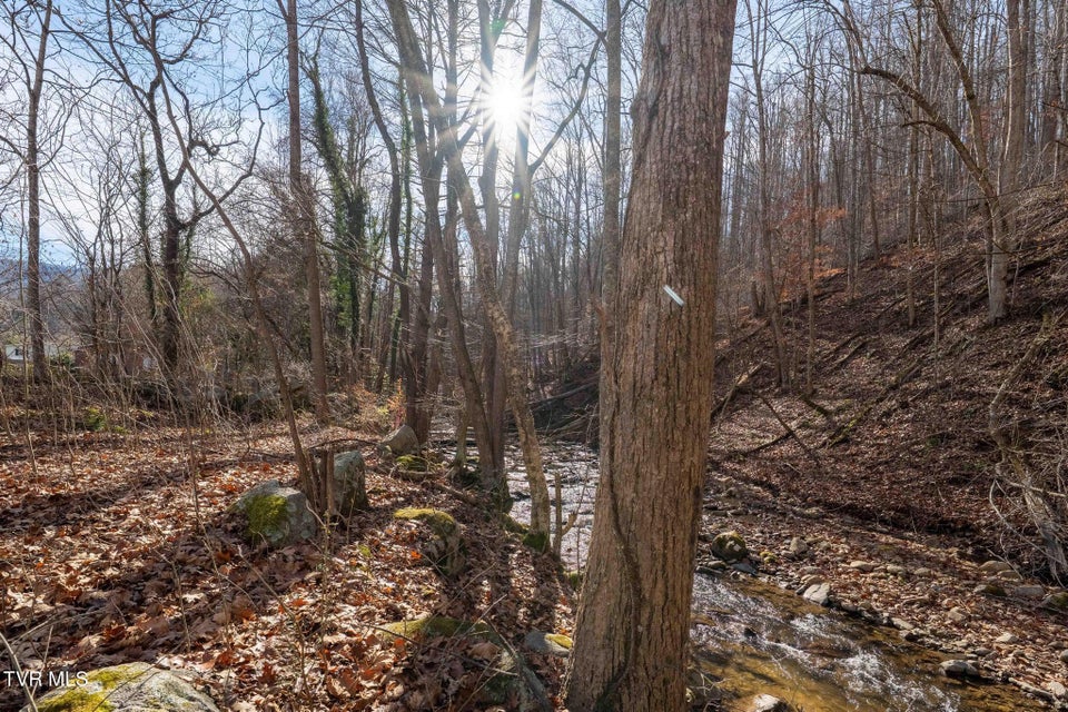 Photo #15: 6194 Highway 19-E 