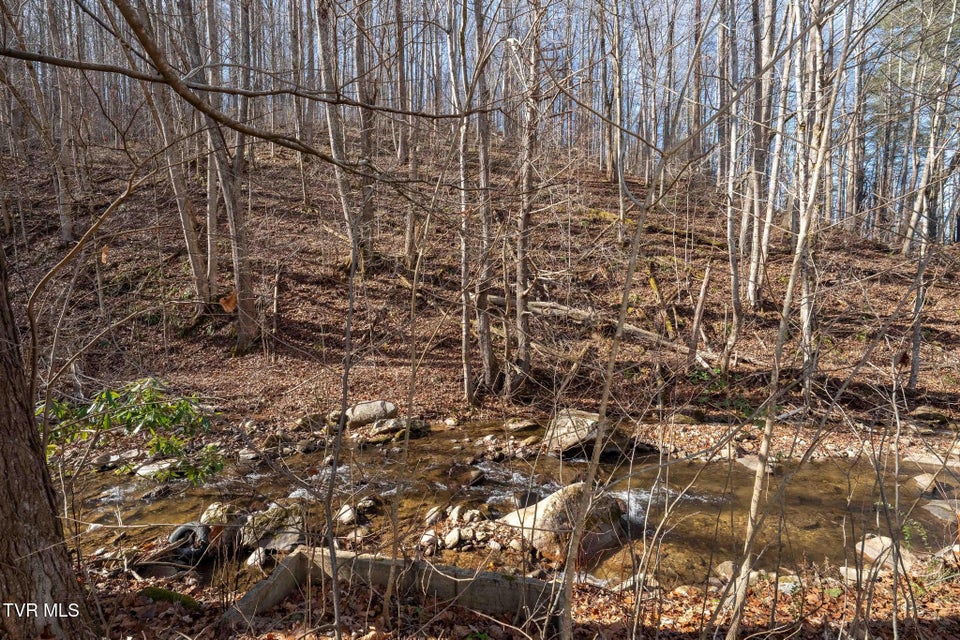 Photo #18: 6194 Highway 19-E 