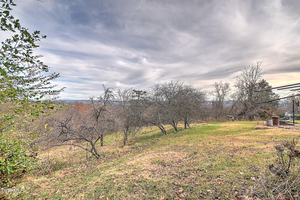 Photo #39: 1141 Ridgecrest Avenue