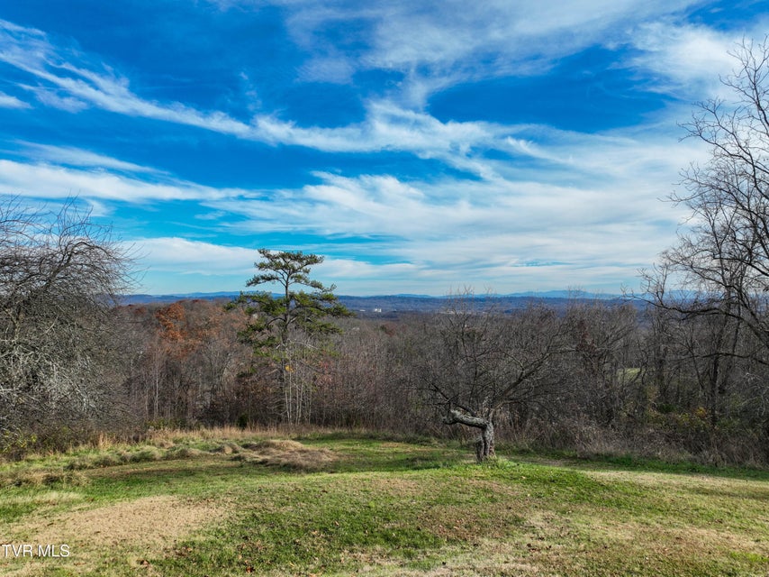 Photo #62: 1141 Ridgecrest Avenue