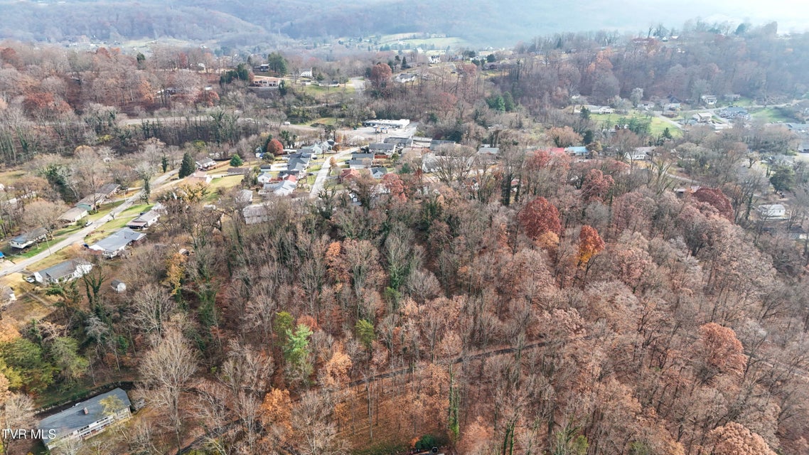 Photo #3: Tbd Mountain Drive