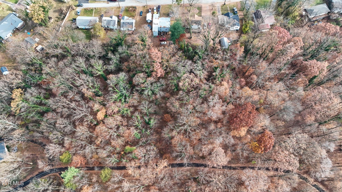 Photo #8: Tbd Mountain Drive