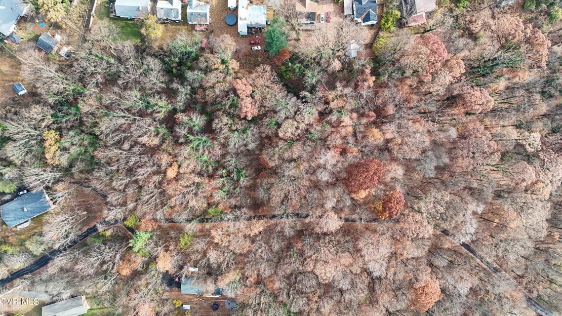 Photo #9: Tbd Mountain Drive