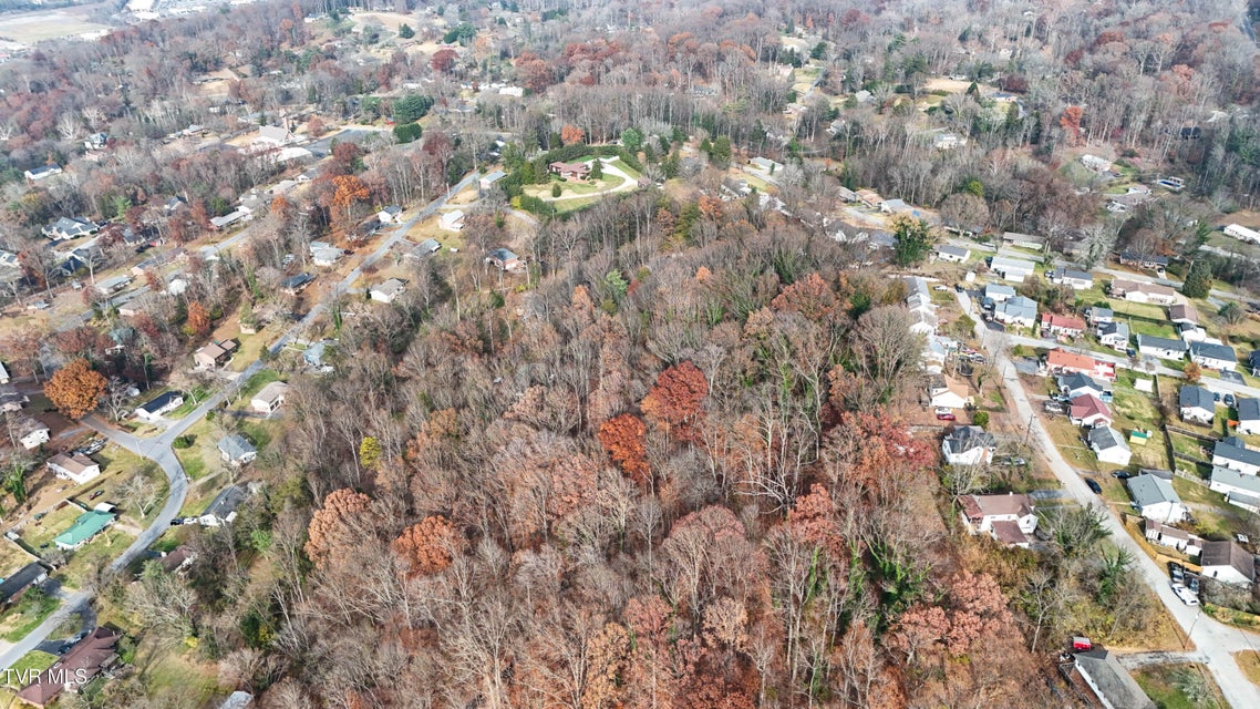 Photo #13: Tbd Mountain Drive