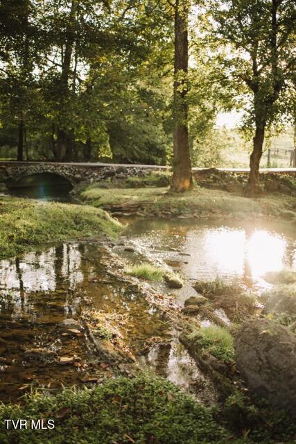 Photo #57: 21405 Parks Mill Road