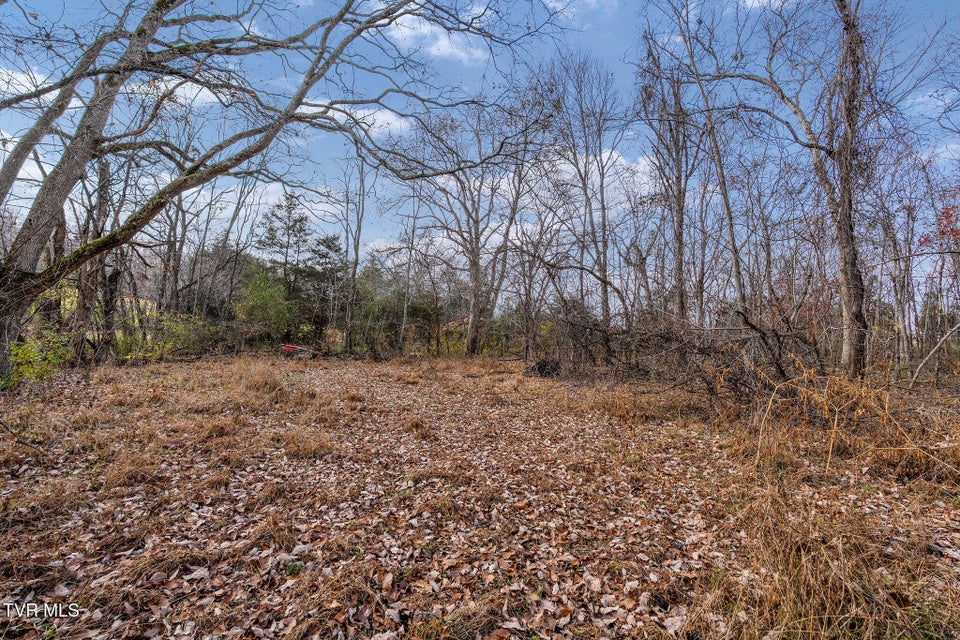 Photo #16: Tbd Horseshoe Bend 