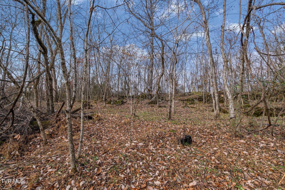 Photo #17: Tbd Horseshoe Bend 