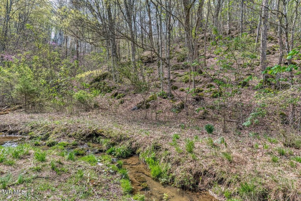 Photo #17: 635 Harbor Springs Road