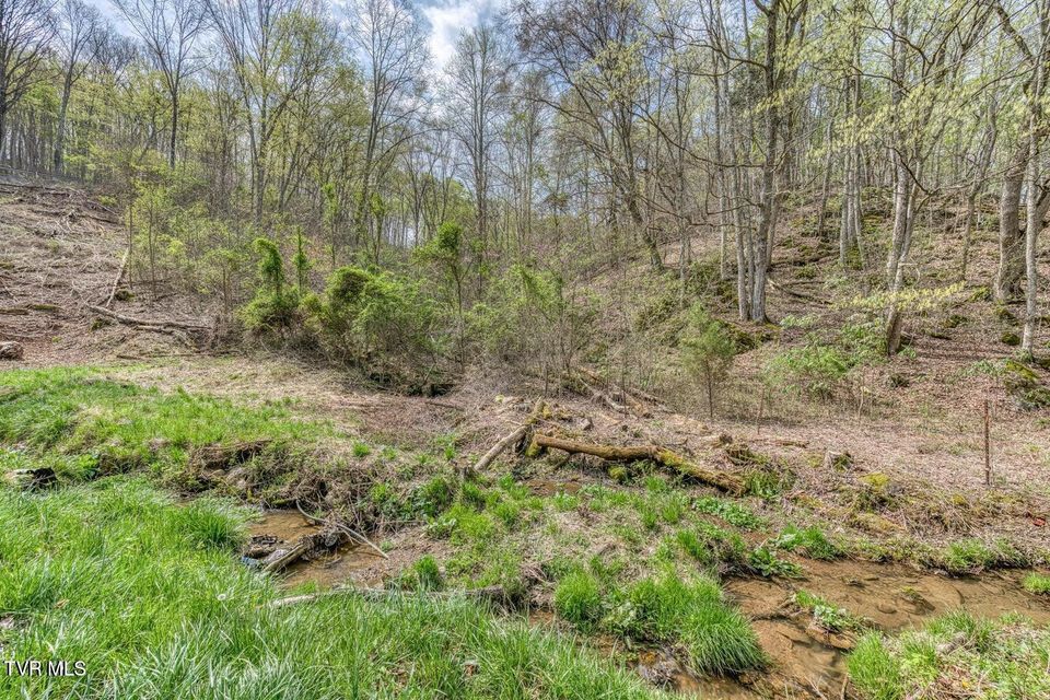 Photo #16: 635 Harbor Springs Road