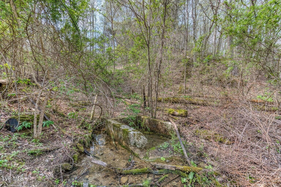 Photo #15: 635 Harbor Springs Road