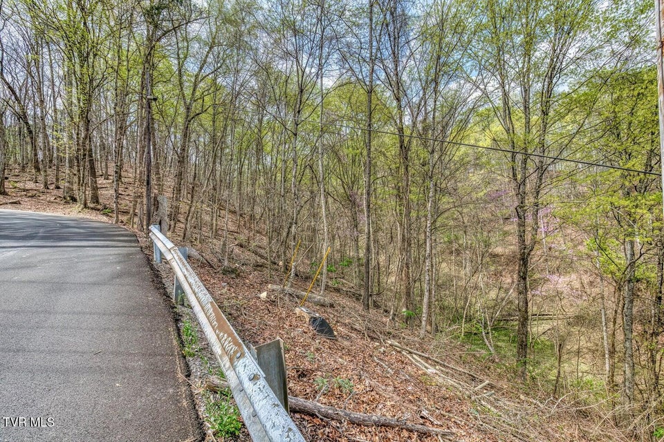 Photo #11: 635 Harbor Springs Road