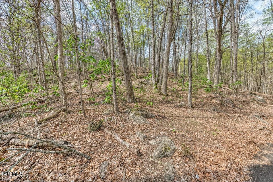 Photo #6: 635 Harbor Springs Road