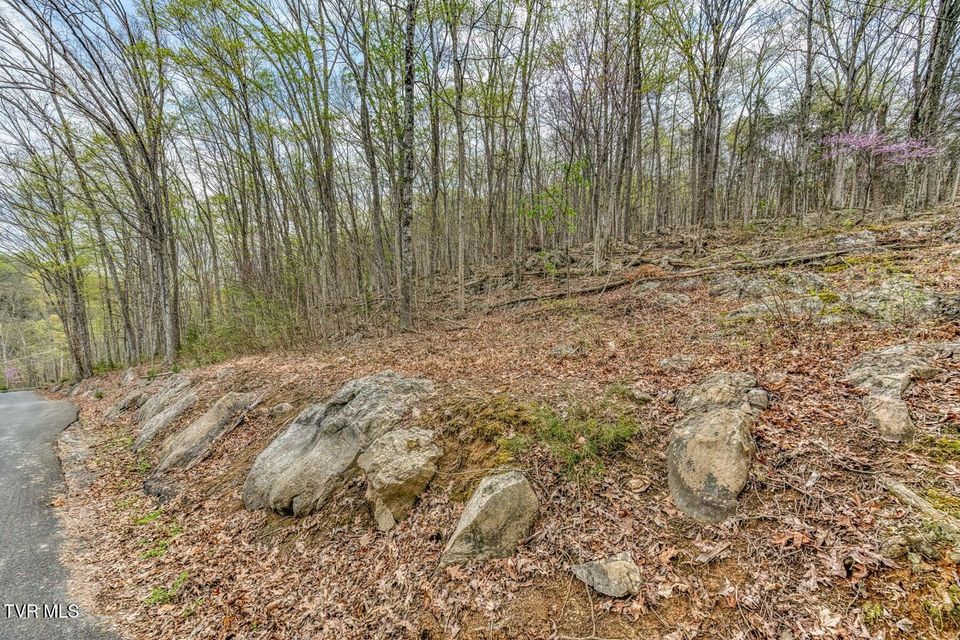 Photo #4: 635 Harbor Springs Road