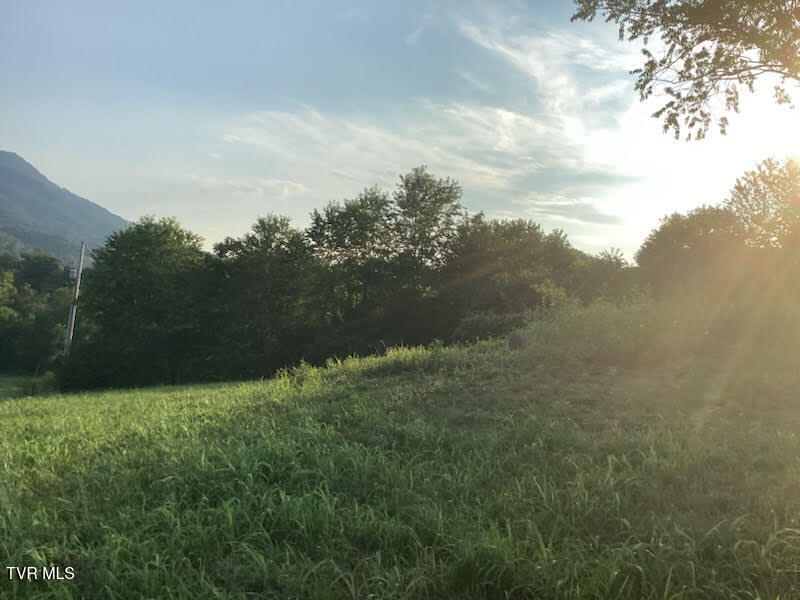 Photo #5: 223 Gun Smoke Drive