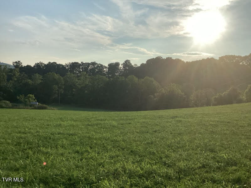 Photo #6: 223 Gun Smoke Drive