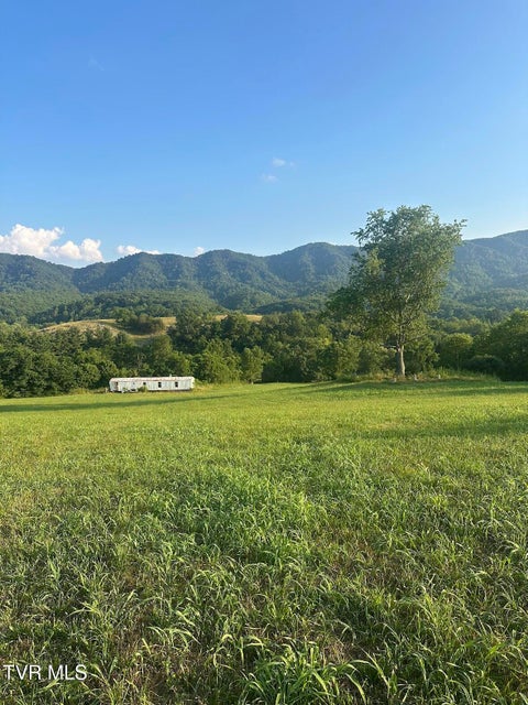 Photo #7: 223 Gun Smoke Drive